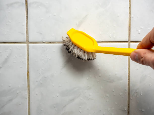 Best Certified Mold Removal  in Lanse, MI