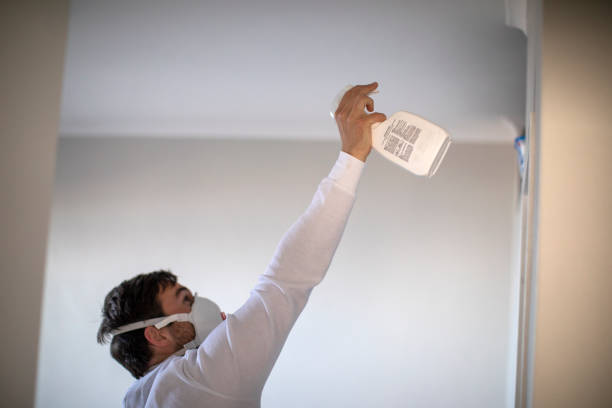Best Toxic Mold Removal  in Lanse, MI