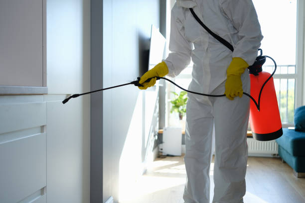 Best Emergency Mold Removal  in Lanse, MI