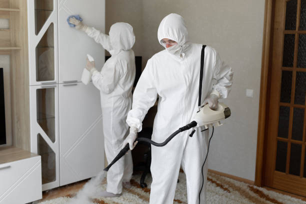 Mold Removal Process in Lanse, MI