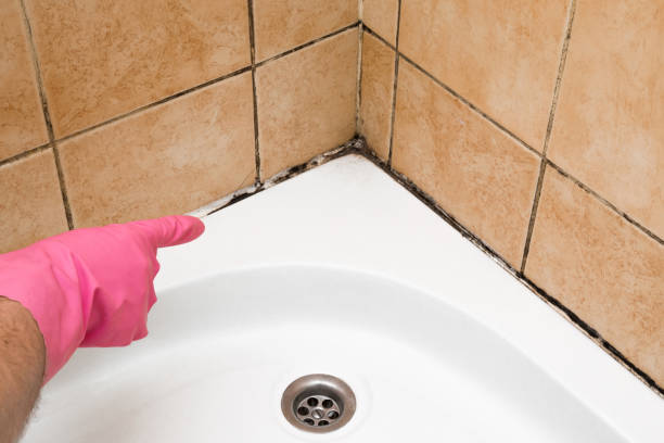 Best Mold Testing  in Lanse, MI